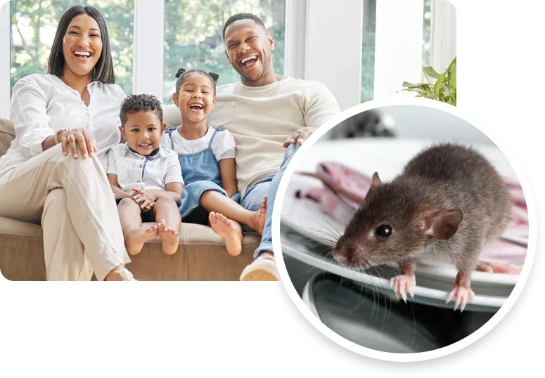 rodent control, rodent free home happy family